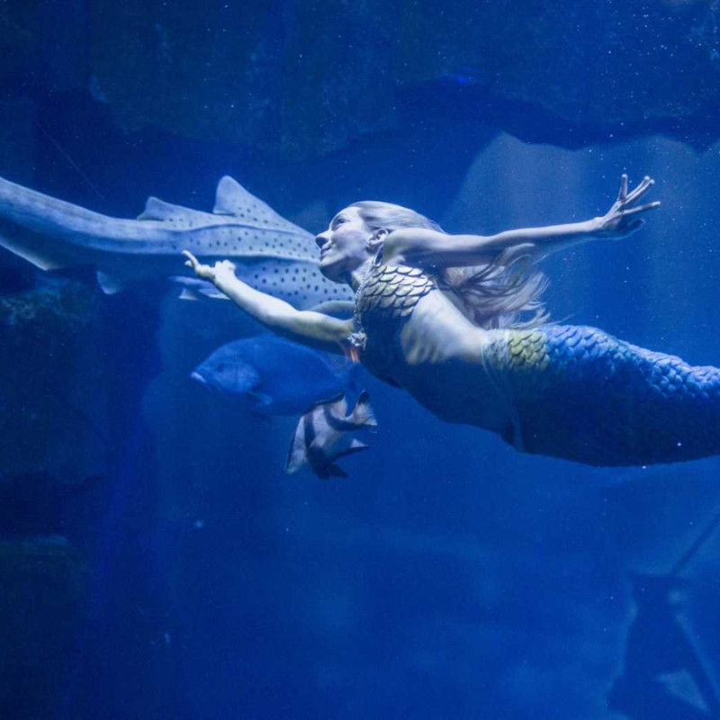 AQUARIUM DE PARIS - CINEAQUA