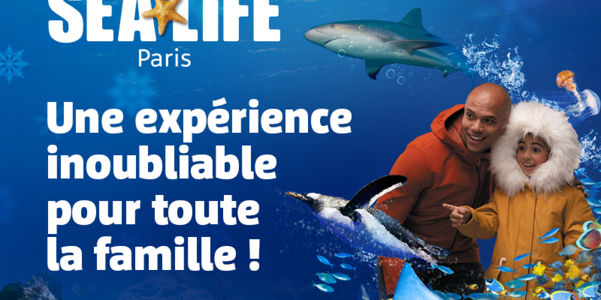 Aquarium Sealife 