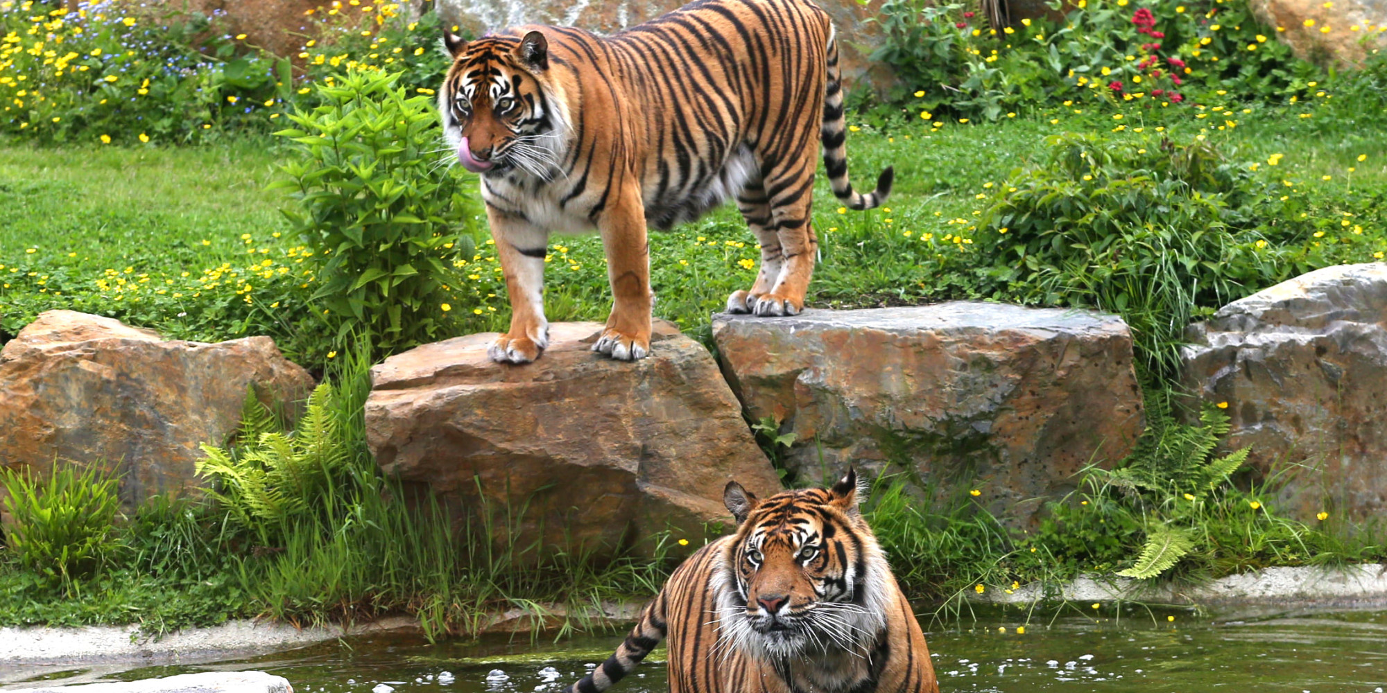 Parc animalier de Champrepus 