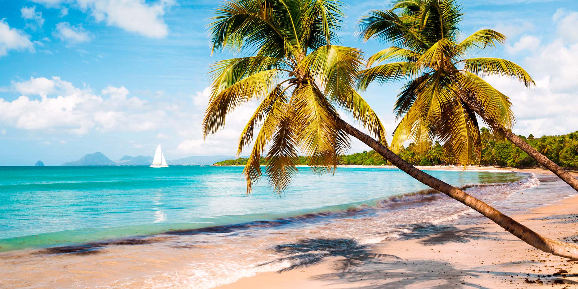 Évadez-vous sous le soleil des Antilles !