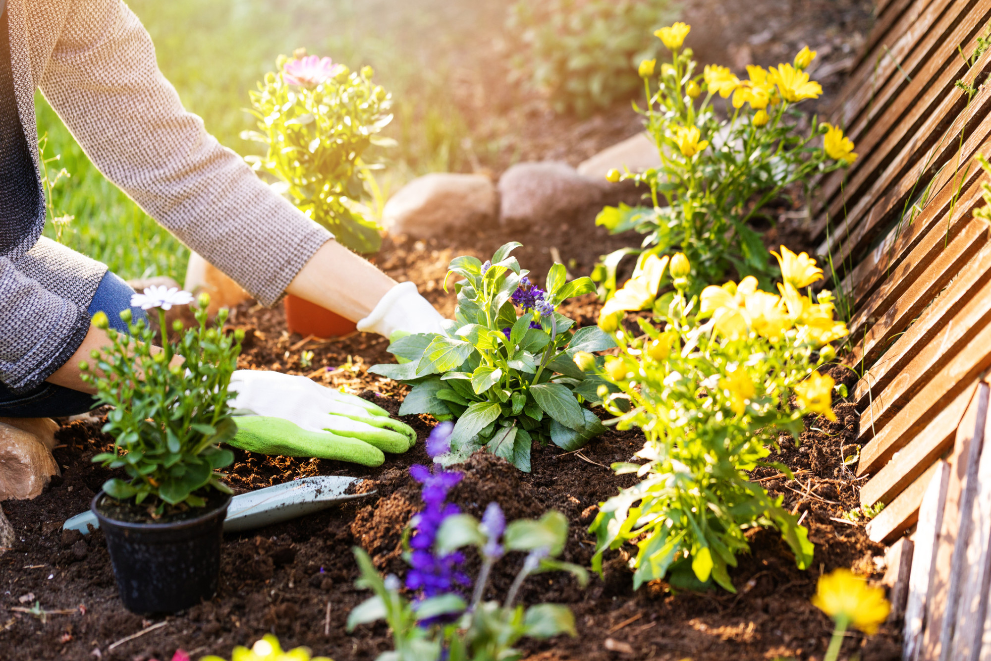 Pour un jardin plus riche