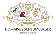 Logo DOMAINES SCHLUMBERGER