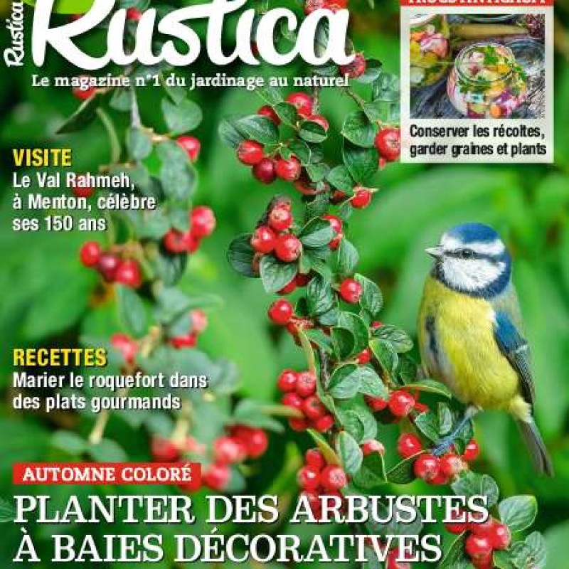 RUSTICA 