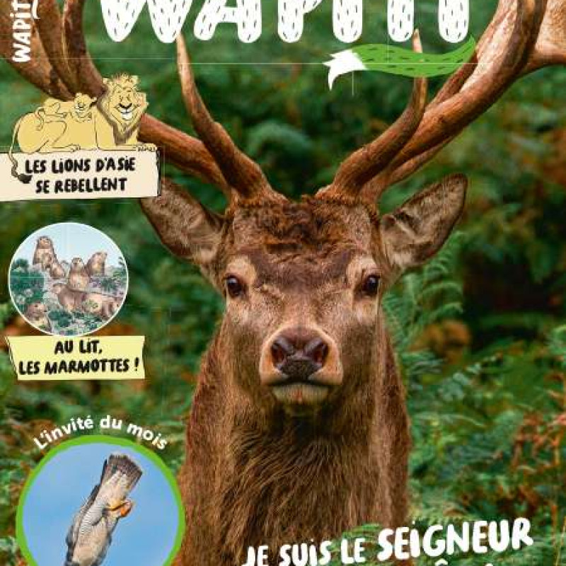 WAPITI 