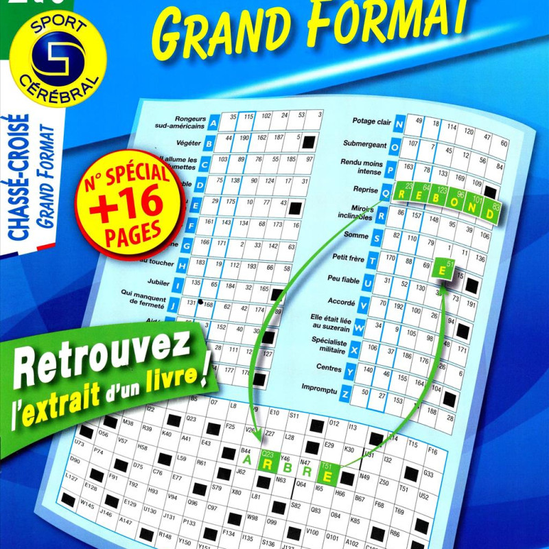 CHASSE CROISE GF 