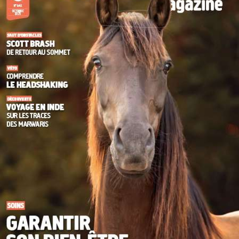 CHEVAL MAGAZINE 