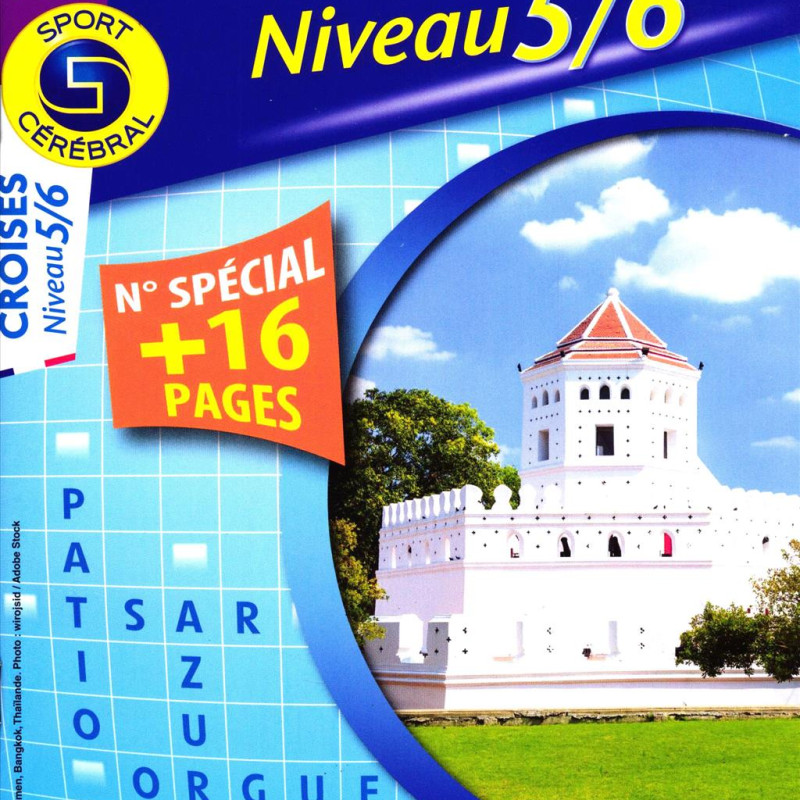 CROISES NIVEAU 5 6 