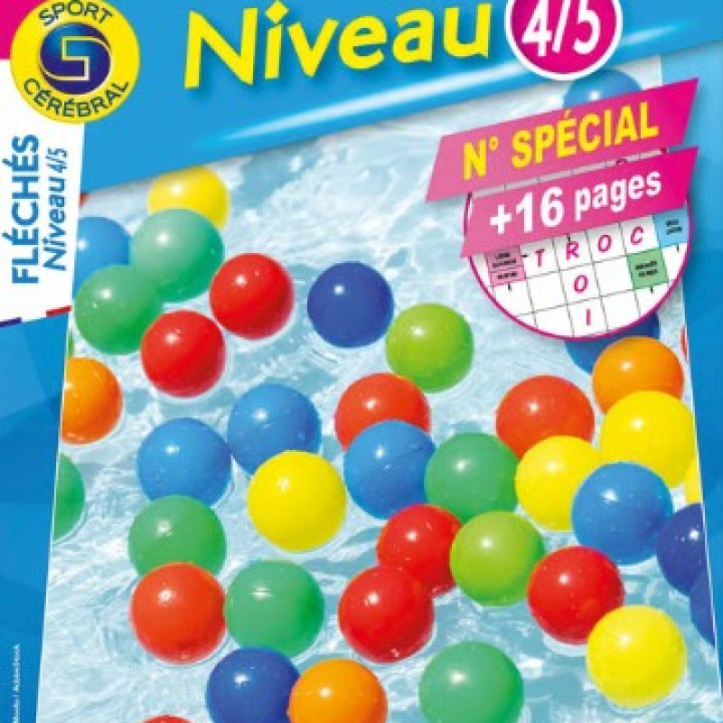 FLECHES NIVEAU 4 5 