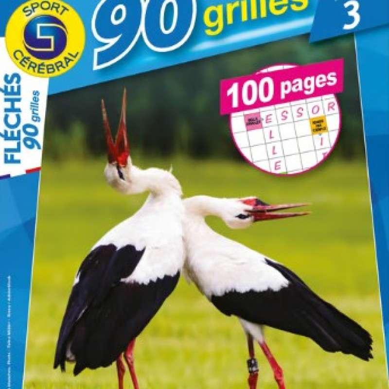FLECHES 90 GRILLES NIVEAU 3 