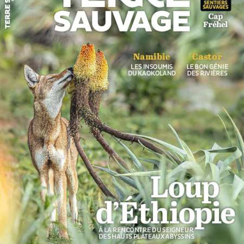 TERRE SAUVAGE 