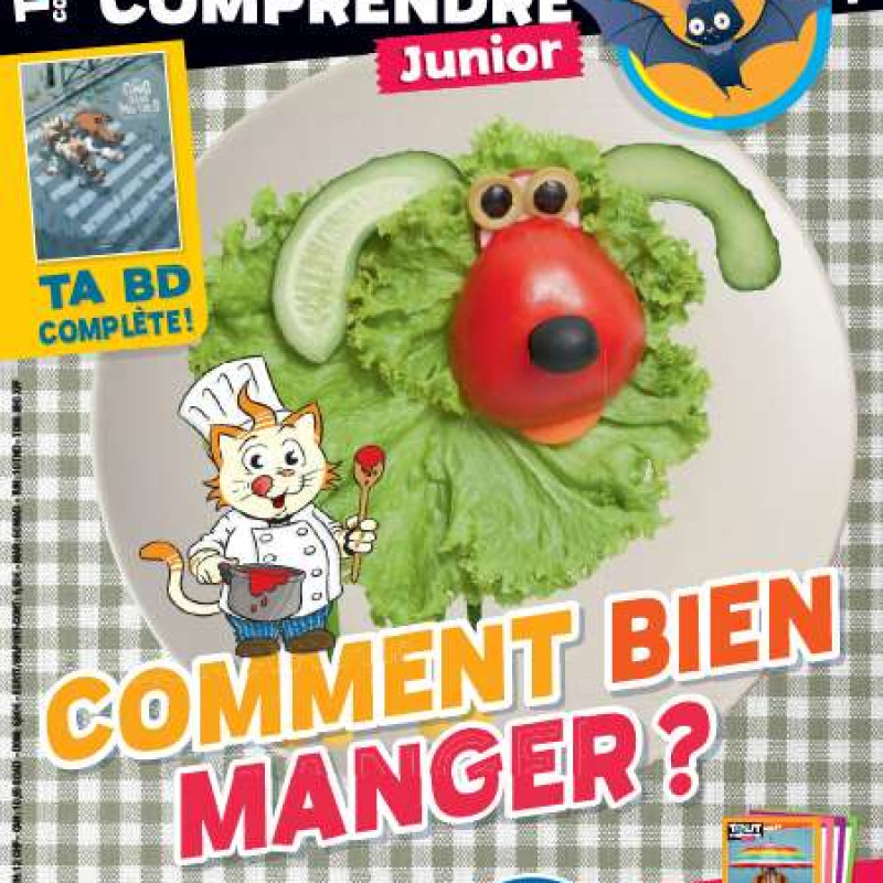 TOUT COMPRENDRE JUNIOR 